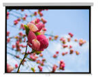 Telas de Projeção Eléctrica 200x200 cm